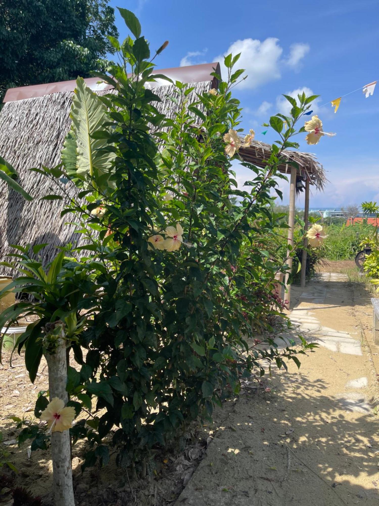 Hotel Phuketairportcamping Ban Bo Sai Klang Esterno foto