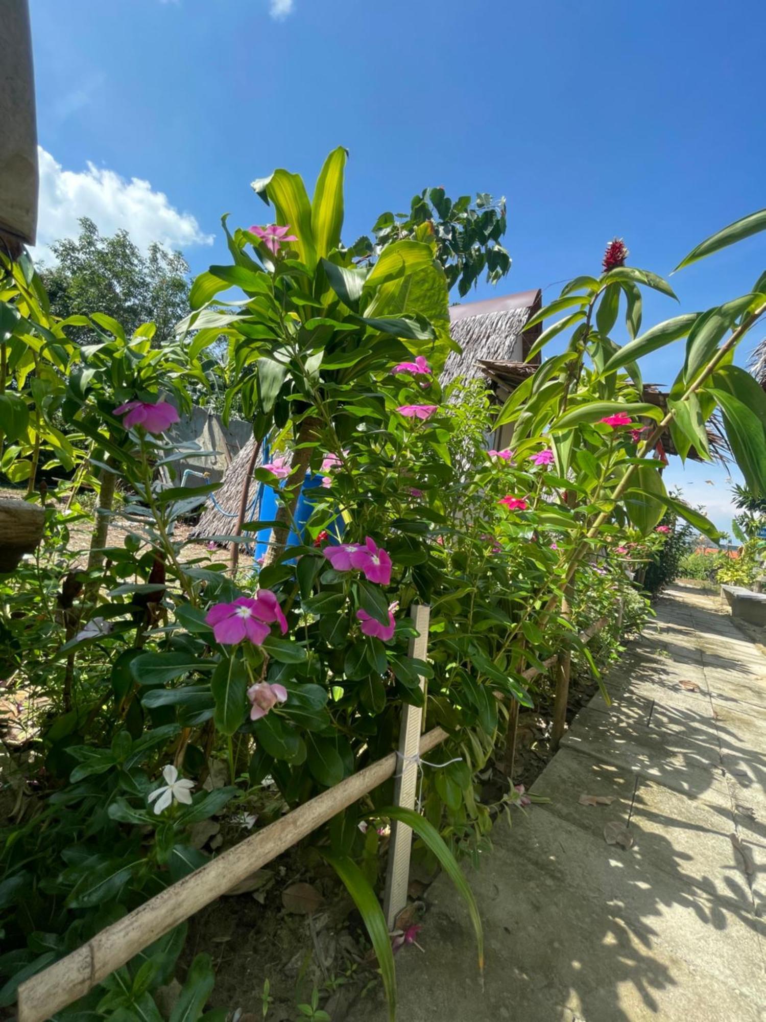 Hotel Phuketairportcamping Ban Bo Sai Klang Esterno foto